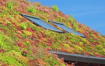 Breadsall Hilltop living roof systems